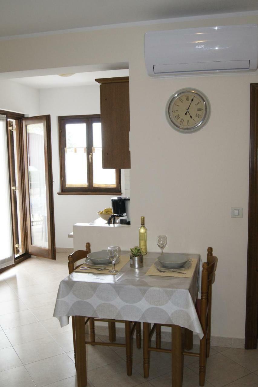 Popovic Apartment